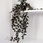 Mid Street Retreat, Steps From The Beach,