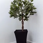 Mid Street Retreat, Steps From The Beach, בית נופש *